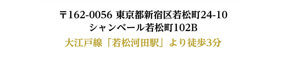 〒162-0056 東京都新宿区若松町24-10
              シャンベール若松町102B 大江戸線「若松河田駅」より徒歩3分