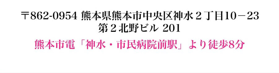 熊本県熊本市中央区神水2丁目10-23 第2北野ビル201